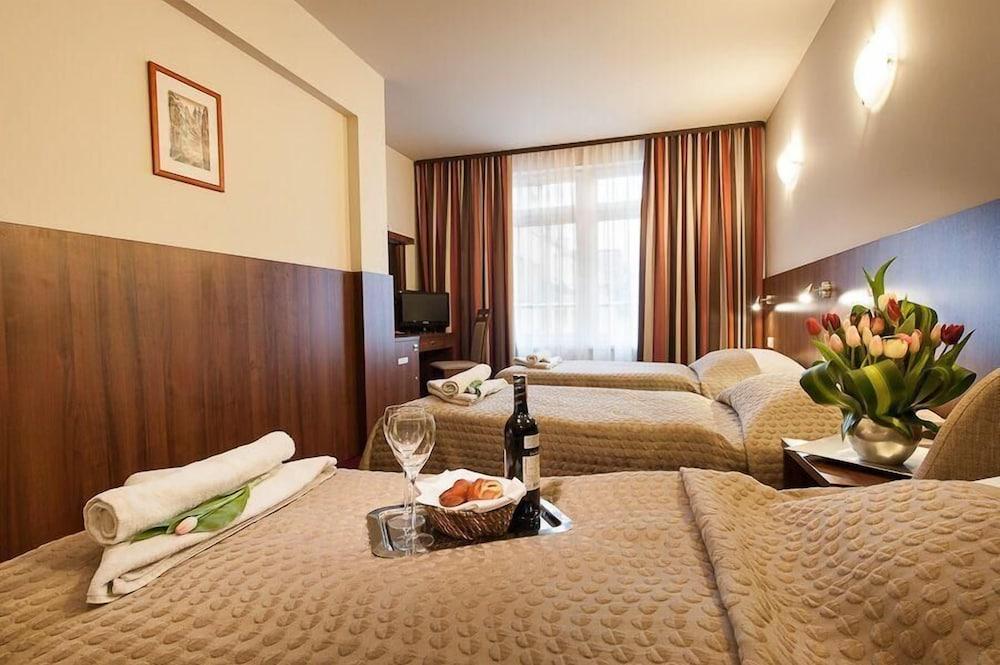 Hotel Alexander Krakow Bagian luar foto